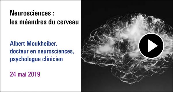 visuel de la séance Neurosciences: les méandres du cerveau, à (re) découvrir sur le Replay