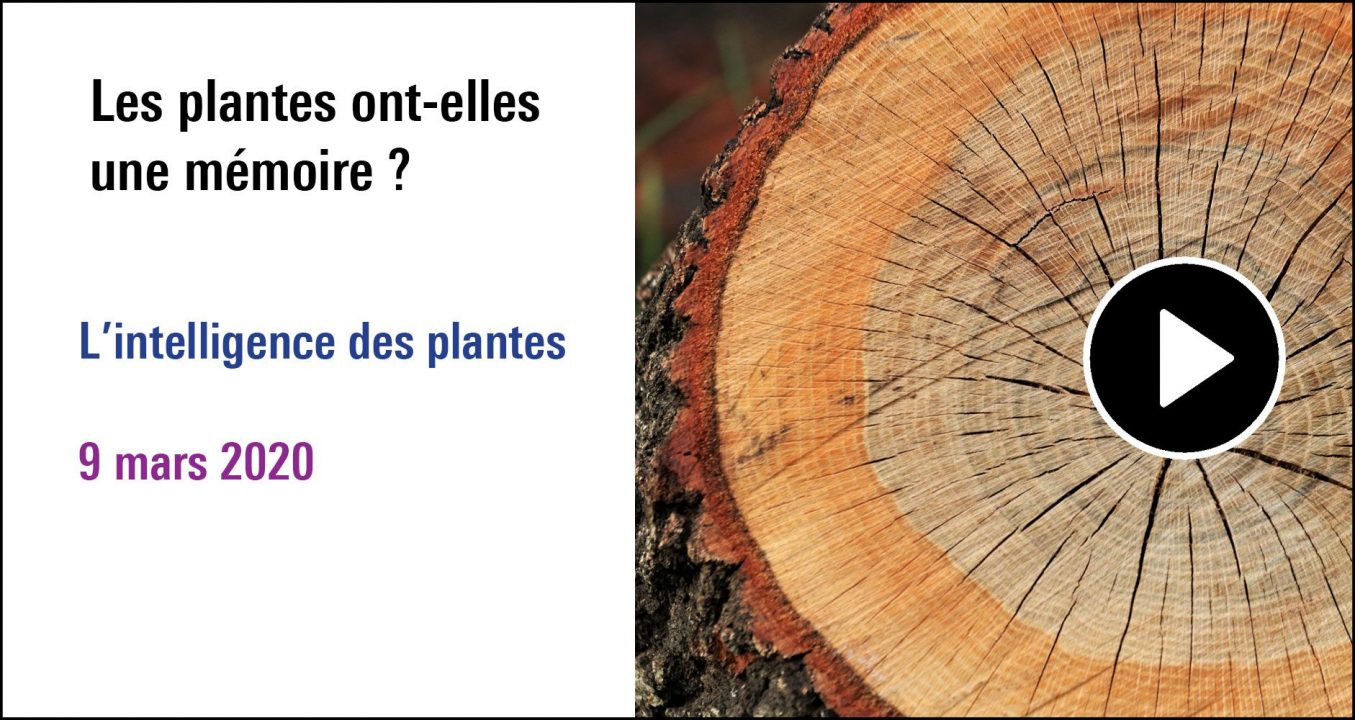 Visuel de la séance Les plantes ont-elles une mémoire ? (9 mars 2020)