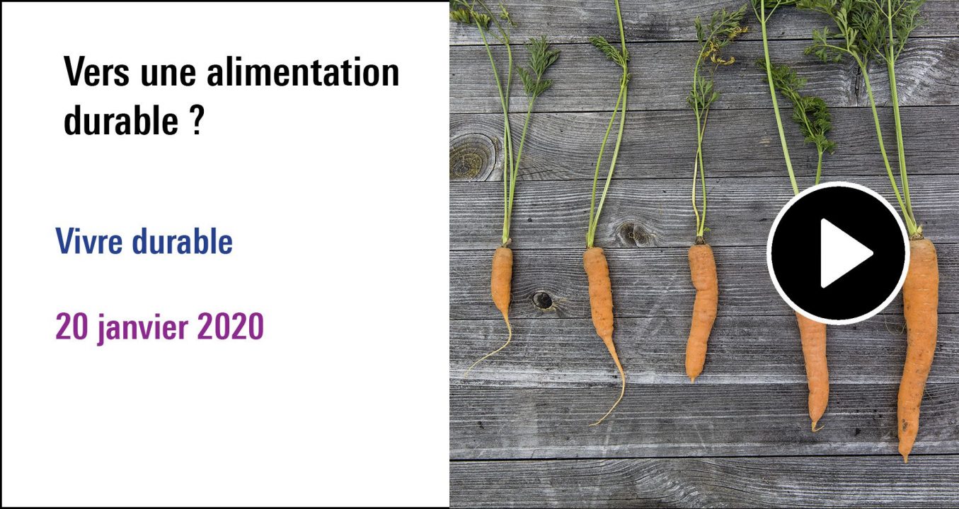 Visuel de la séance Vers une alimentation durable ? Cycle Vivre durable (20 janvier 2020)